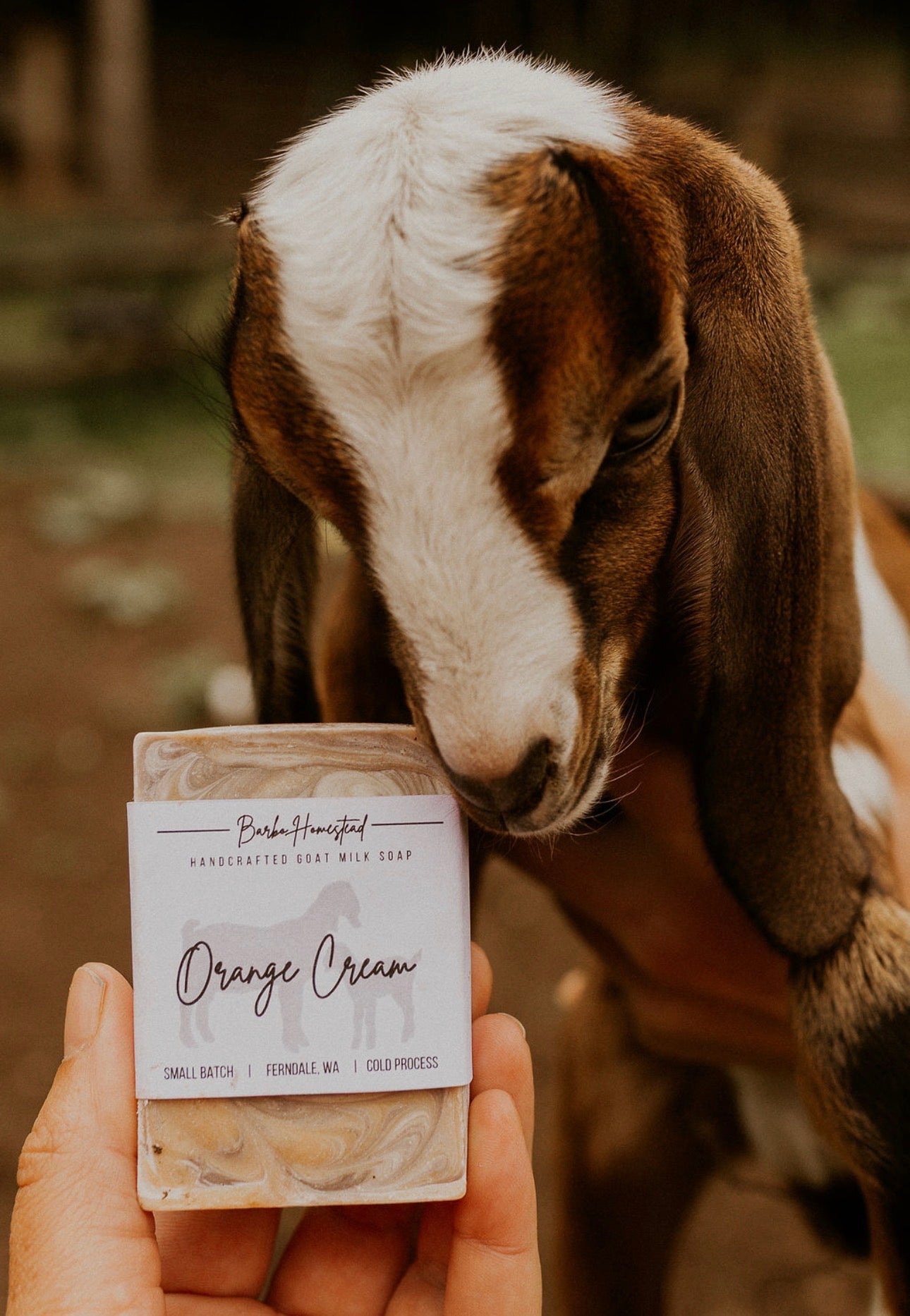 Goat's Milk Glow Bar